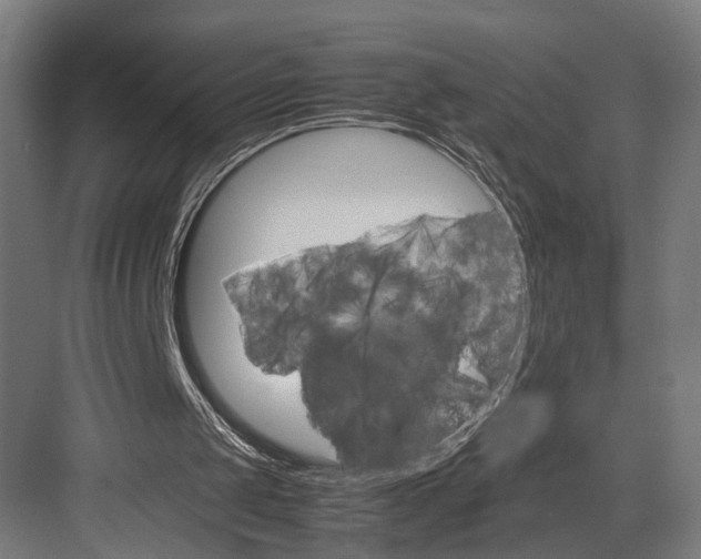 X0000082700049200702161800