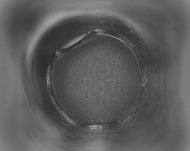 X0000082700052200702161800