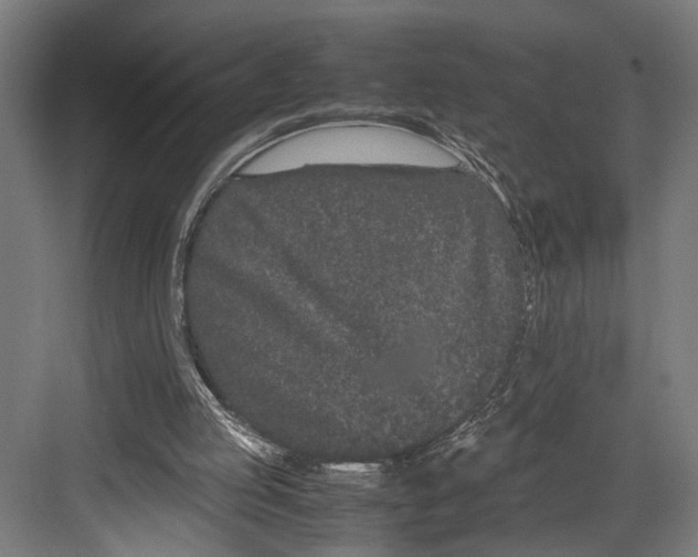 X0000082700053200702161800