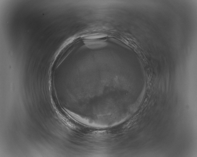 X0000082700054200702161800