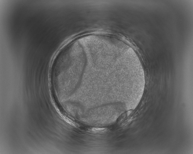 X0000082700055200702161800