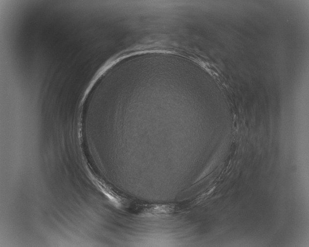 X0000082700056200702161800