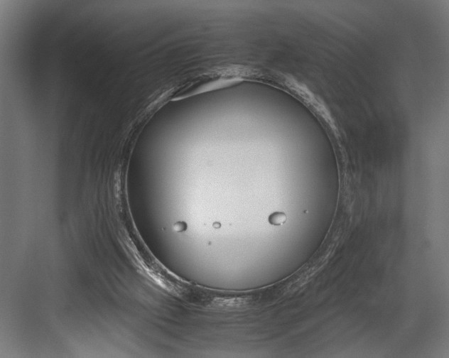 X0000082700057200702161800