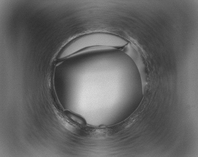 X0000082700060200702161800