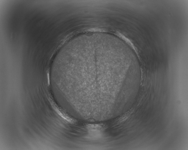 X0000082700061200702161800