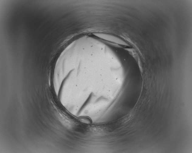 X0000082700062200702161800