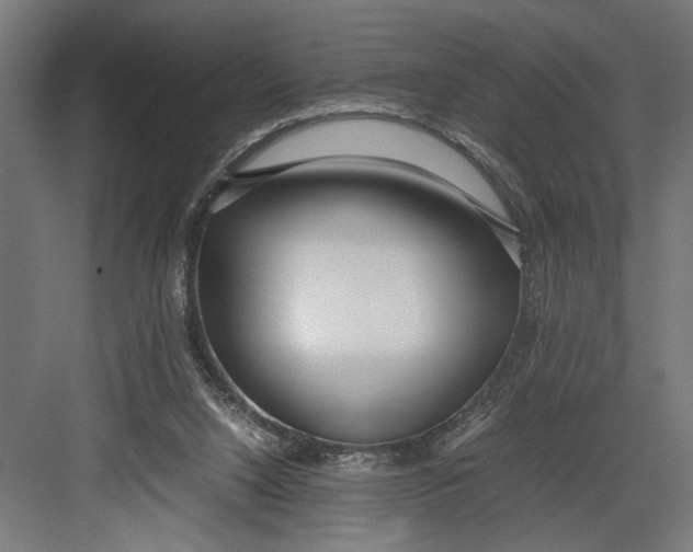 X0000082700064200702161800