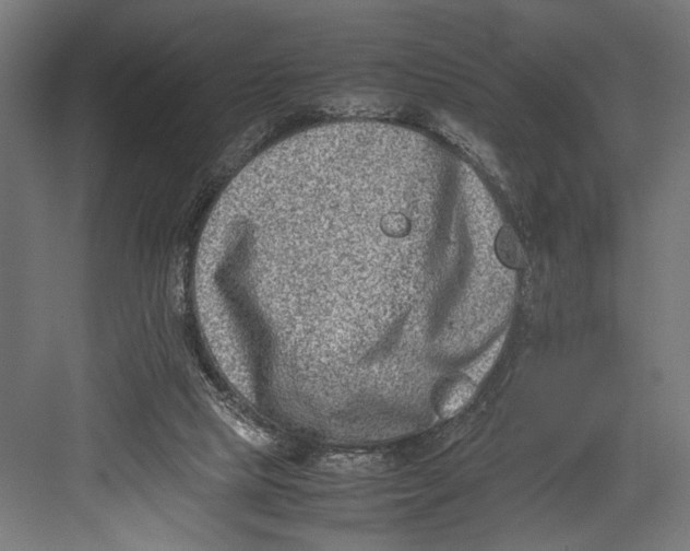 X0000082700065200702161800