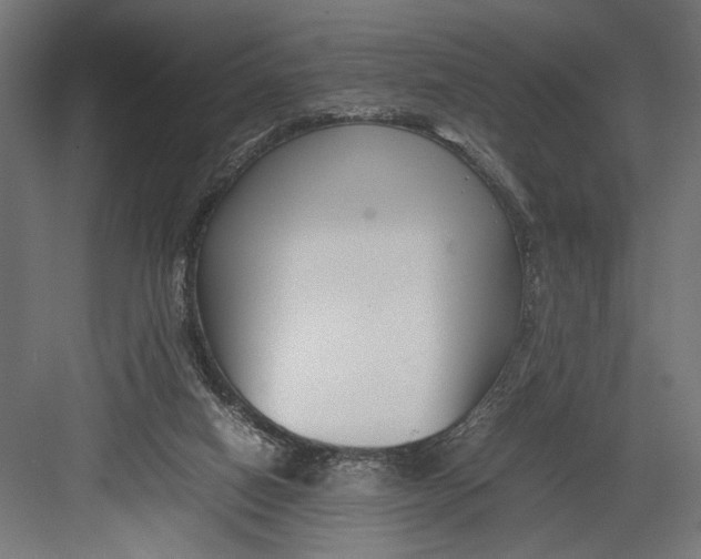 X0000082700066200702161800