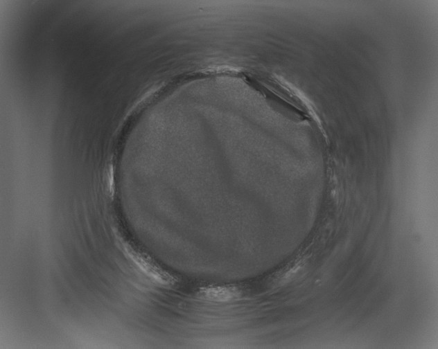 X0000082700067200702161800