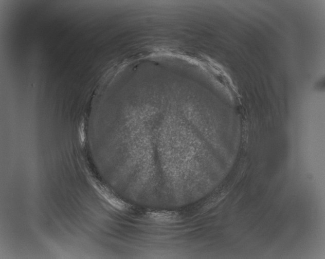 X0000082700069200702161800