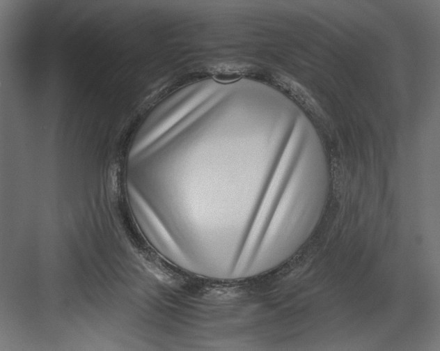 X0000082700071200702161800