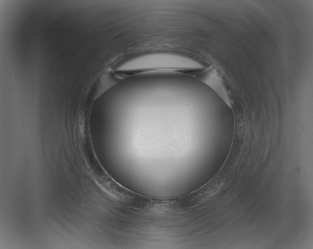 X0000082700072200702161800