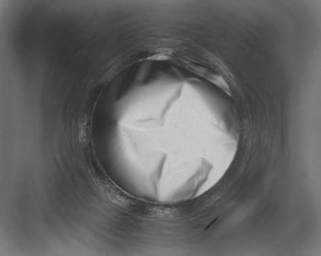 X0000082700073200702161800