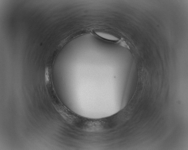 X0000082700075200702161800