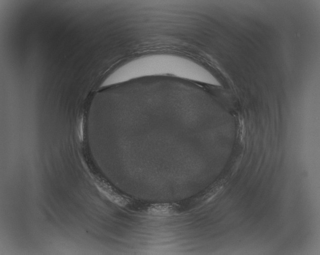 X0000082700076200702161801