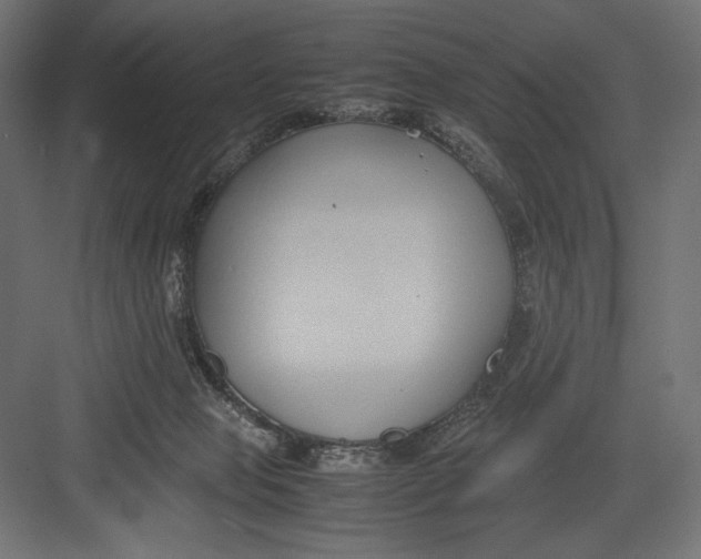 X0000082700077200702161801