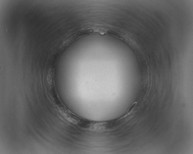 X0000082700078200702161801