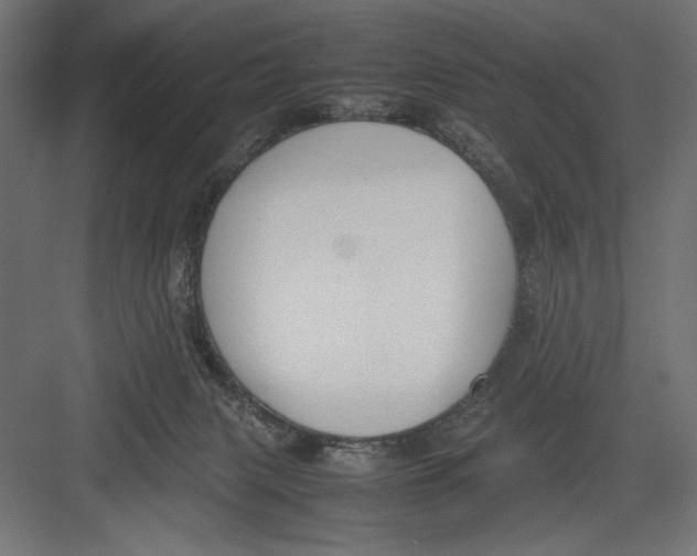 X0000082700079200702161801