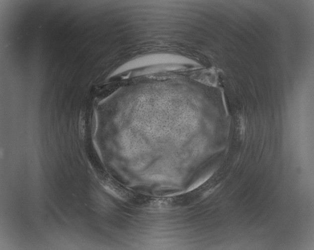 X0000082700080200702161801