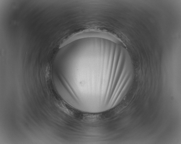 X0000082700081200702161801