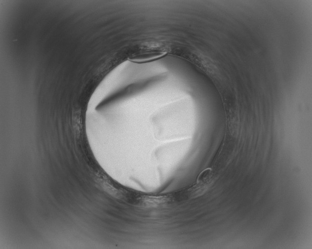 X0000082700085200702161801