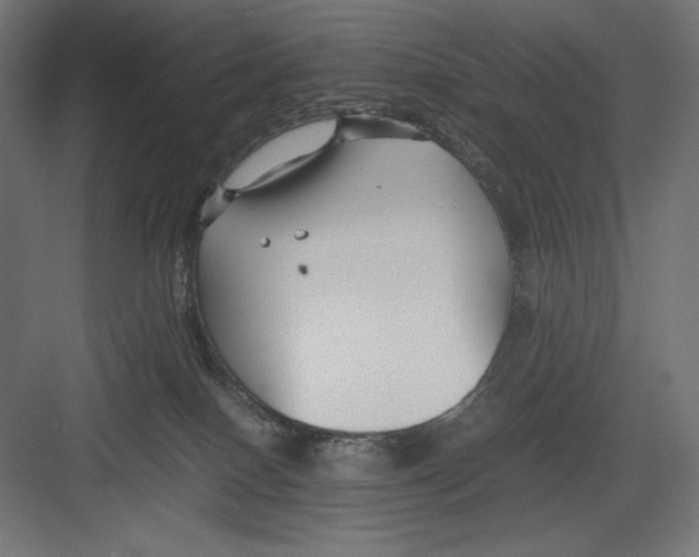 X0000082700086200702161801