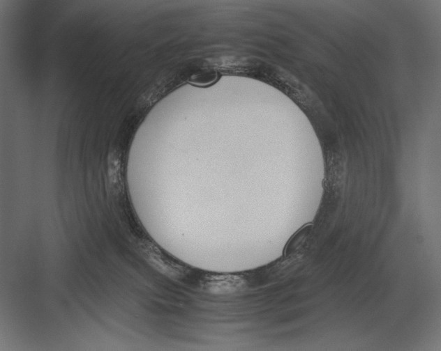 X0000082700087200702161801