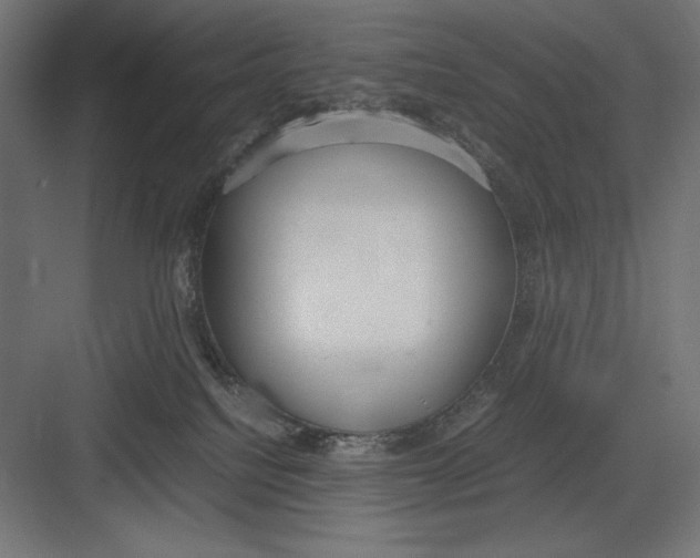 X0000082700088200702161801