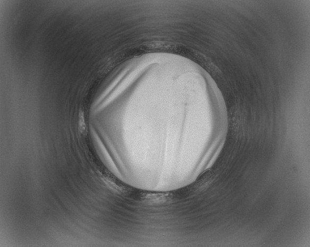 X0000082700089200702161801