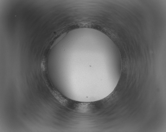 X0000082700090200702161801