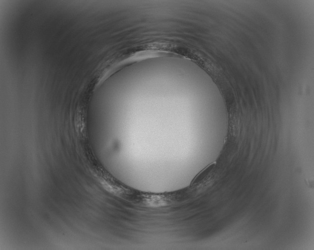 X0000082700091200702161801