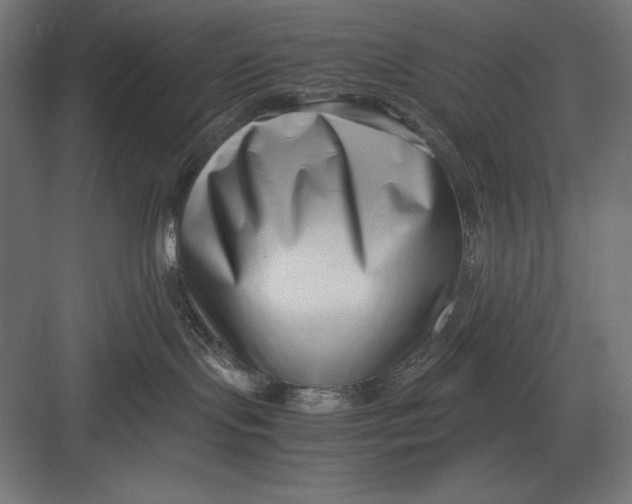 X0000082700095200702161801