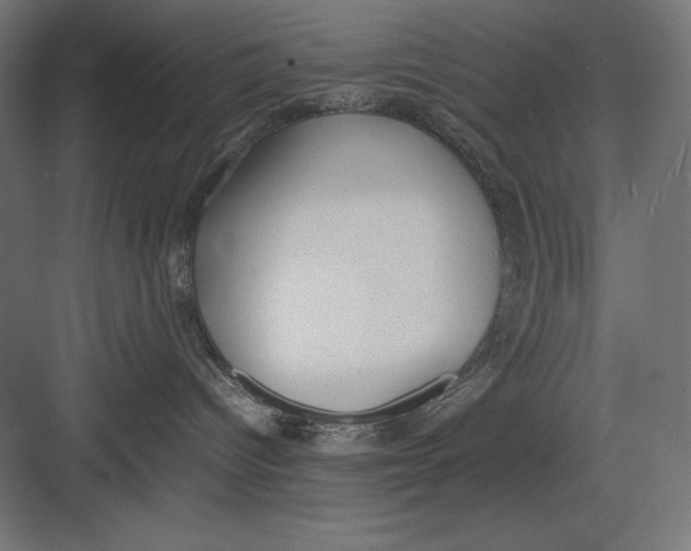 X0000082700096200702161801