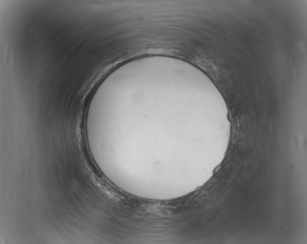 X0000082700098200702161800