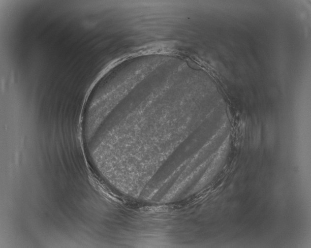 X0000082700100200702161800