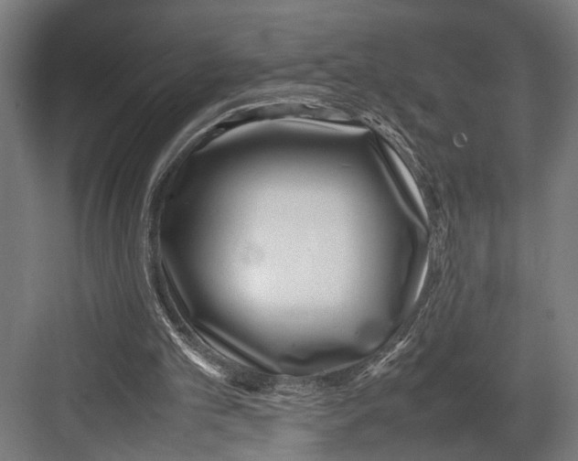 X0000082700101200702161800