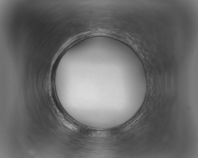 X0000082700102200702161800