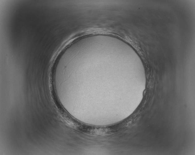 X0000082700103200702161800