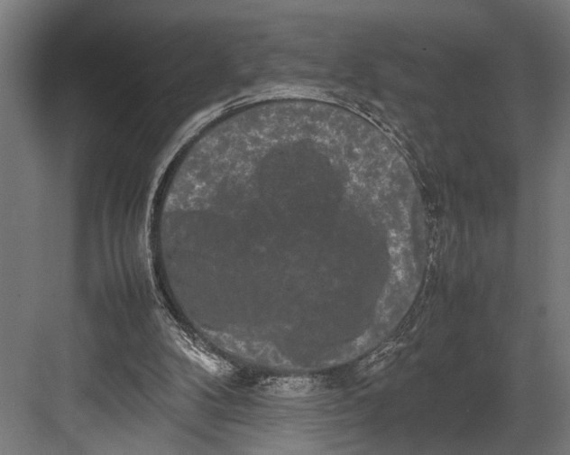 X0000082700104200702161800