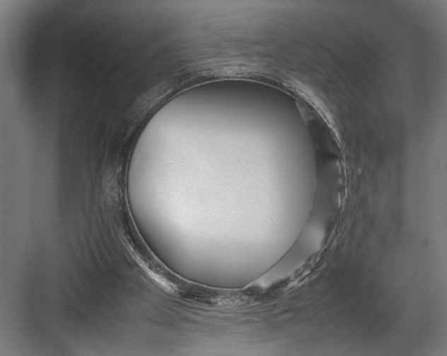 X0000082700105200702161800