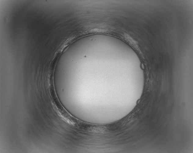 X0000082700106200702161800