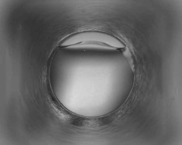 X0000082700107200702161800