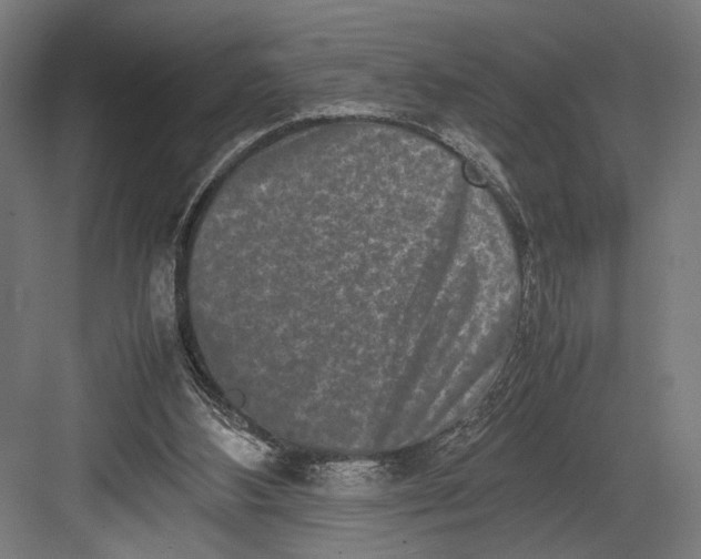 X0000082700108200702161800