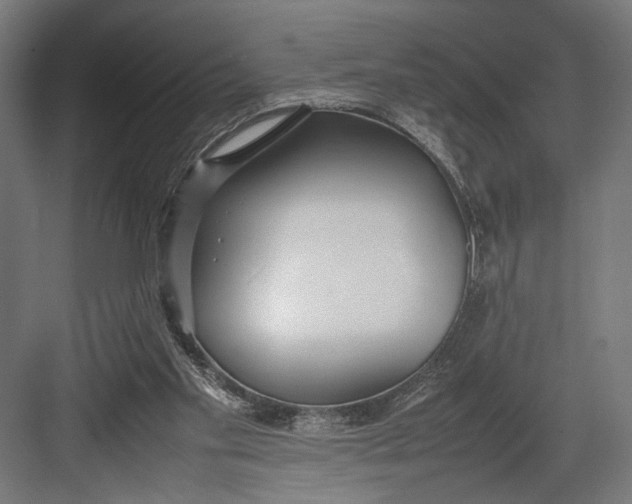 X0000082700109200702161800