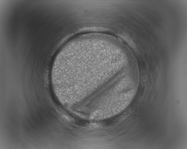 X0000082700111200702161800