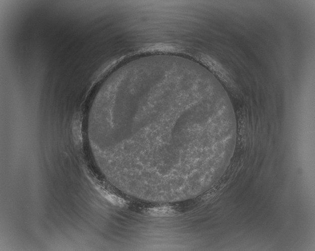 X0000082700112200702161800