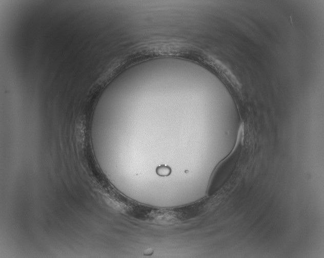 X0000082700113200702161800