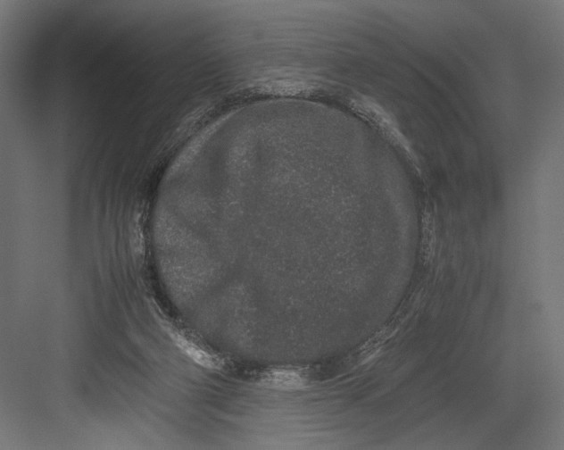 X0000082700114200702161800