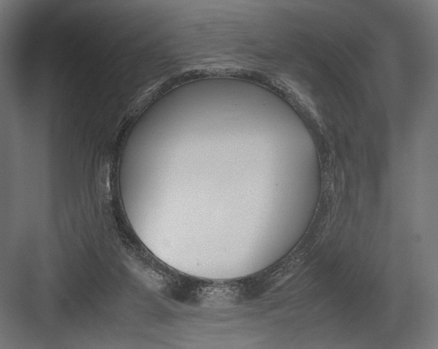 X0000082700115200702161800